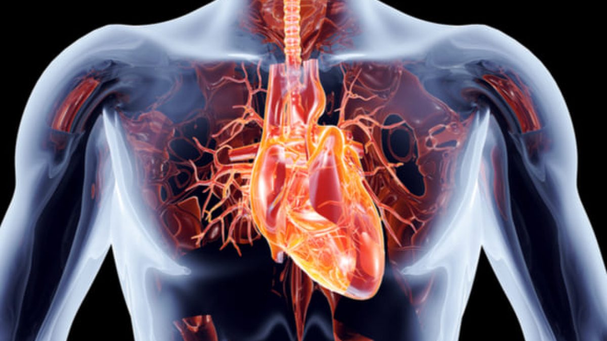 Lee más sobre el artículo Síndrome coronario agudo